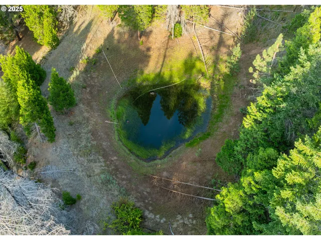 $539,000 | 5925 Cow Creek Road, Riddle, OR 97469