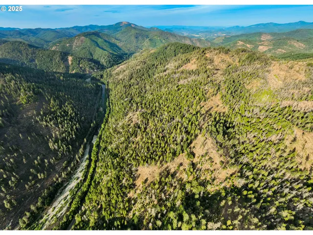 $539,000 | 5925 Cow Creek Road, Riddle, OR 97469