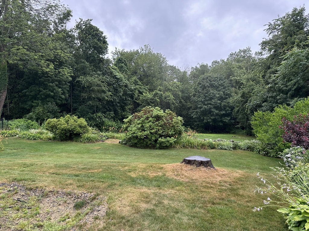 20 Wedgewood Road Worcester, MA 01602 - Photo 16 of 21