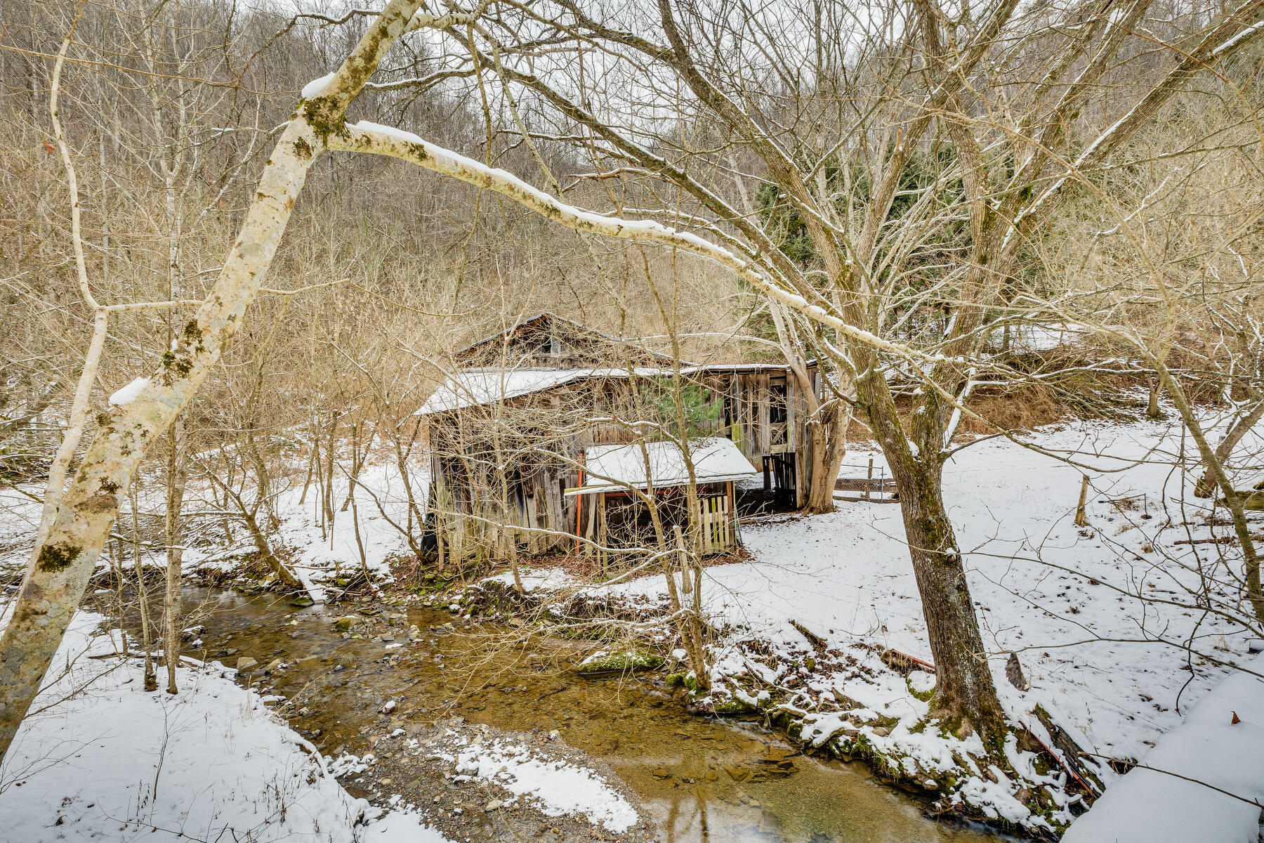 6309 Wolf Run Road Bristol, VA 24202 - Photo 43 of 58 043