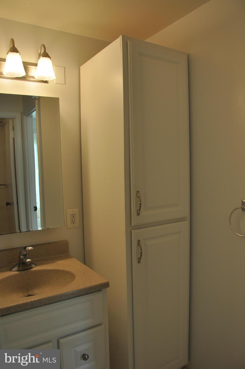12 Starlight Court Potomac, MD 20854 - Photo 12 of 19 a bathroom with a sink and a mirror