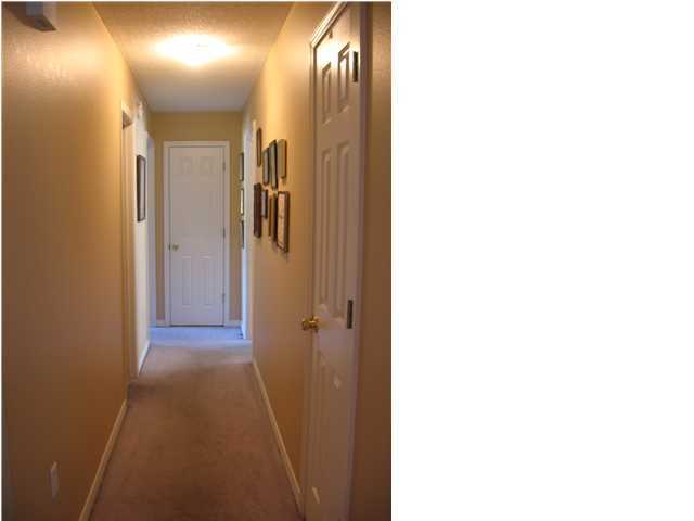 240 Magnolia Creek Road Santa Rosa Beach, FL 32459 - Photo 12 of 32 Gallery Image 12