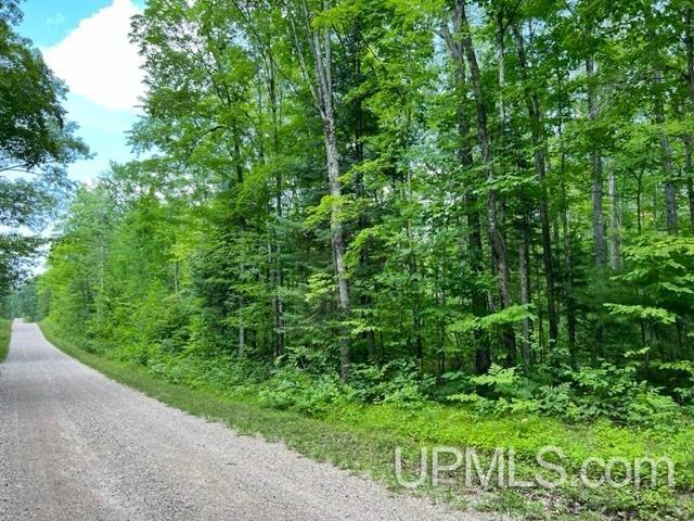 T-wi Birch Hill Road Amberg, WI 54102 - Photo 3 of 21