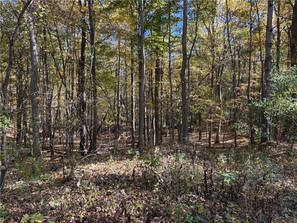 $297,000 | 2507 Clayton Road, Jerusalem, NY 14527