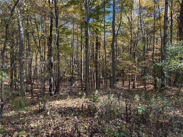 $297,000 | 2507 Clayton Road, Jerusalem, NY 14527