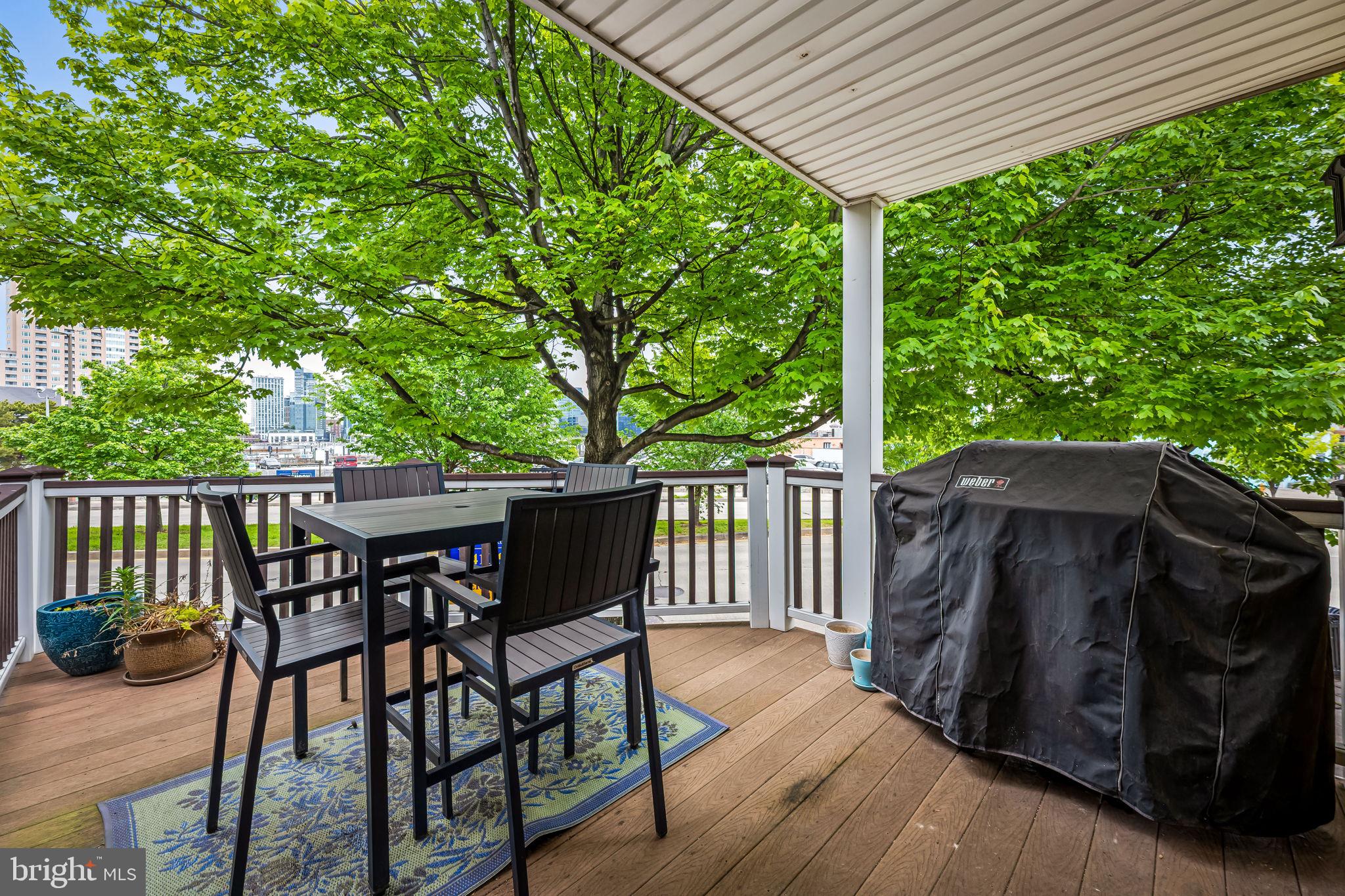 644 East Clement Street Baltimore, MD 21230 - Photo 14 of 41 1st floor deck
