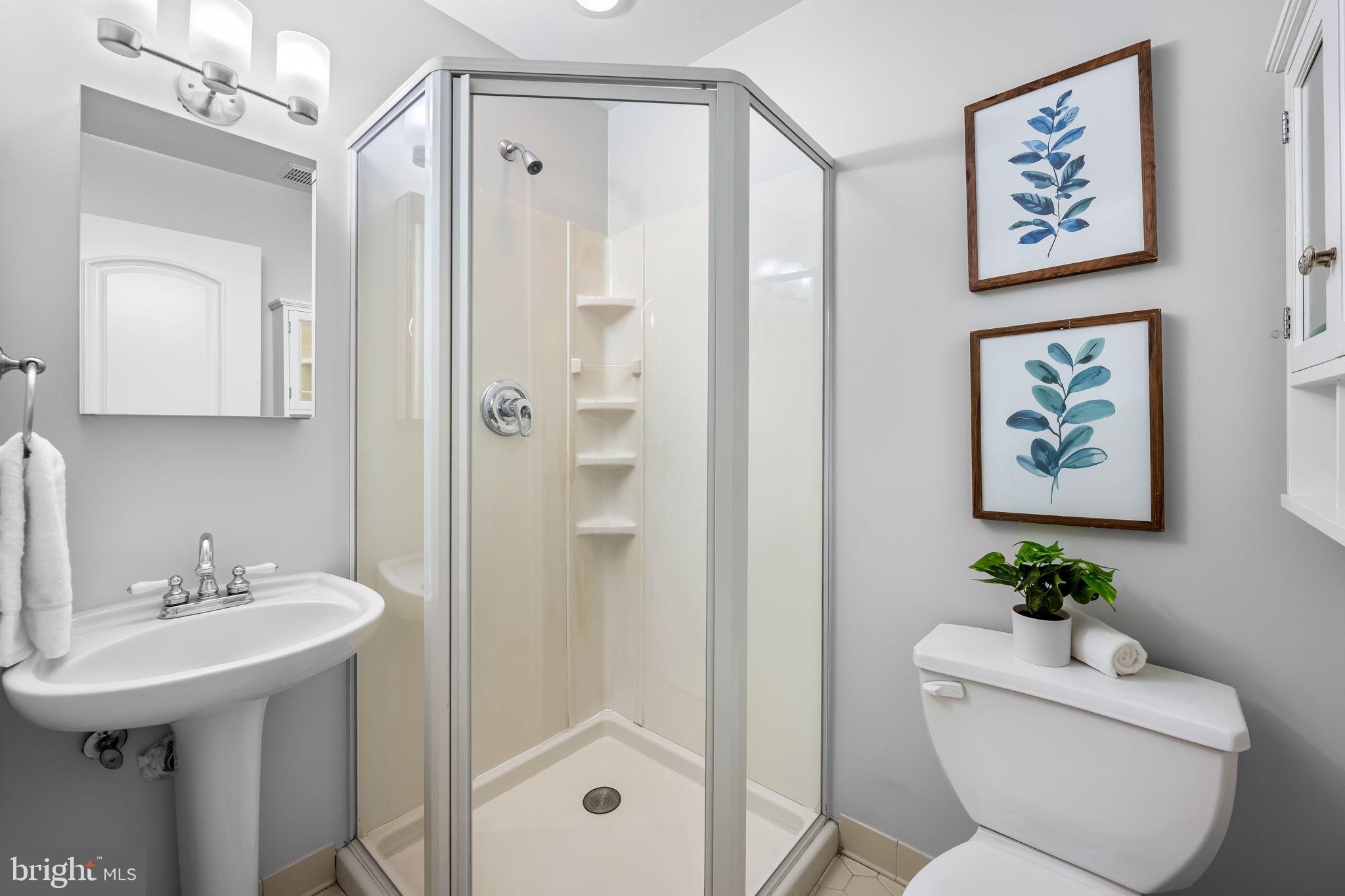 644 East Clement Street Baltimore, MD 21230 - Photo 22 of 41 hall bathroom