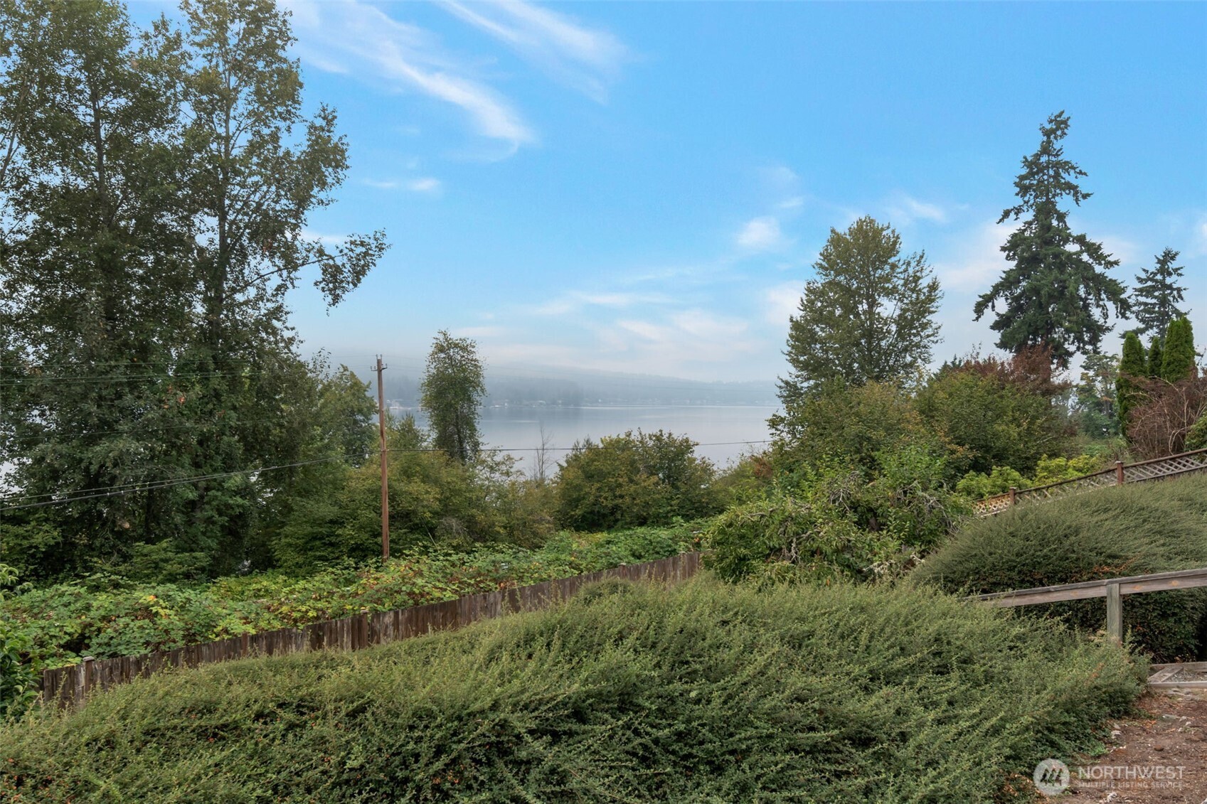4131 205th Avenue Southeast Sammamish, WA 98075 - Photo 17 of 20 a view of a green field with lots of bushes