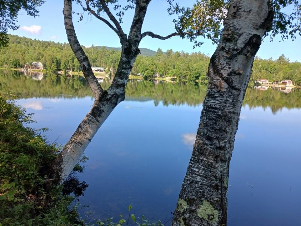 205 Overlook Road Milan, NH 03588 - Photo 6 of 40