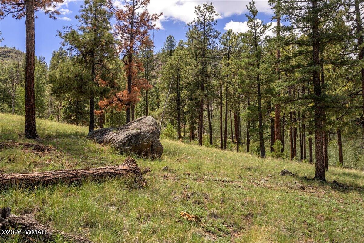 14 County Rd N1062 Greer, AZ 85927 - Photo 1 of 15 Gallery Image 1