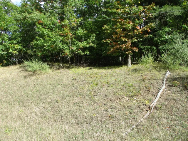 $16,500 | M22 Northwood Highway, Onekama, MI 49675