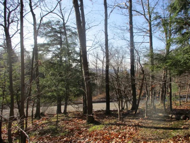 $16,500 | M22 Northwood Highway, Onekama, MI 49675