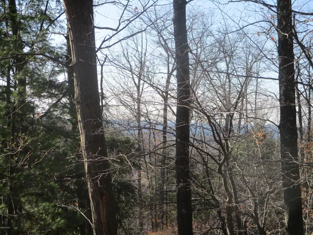 $16,500 | M22 Northwood Highway, Onekama, MI 49675