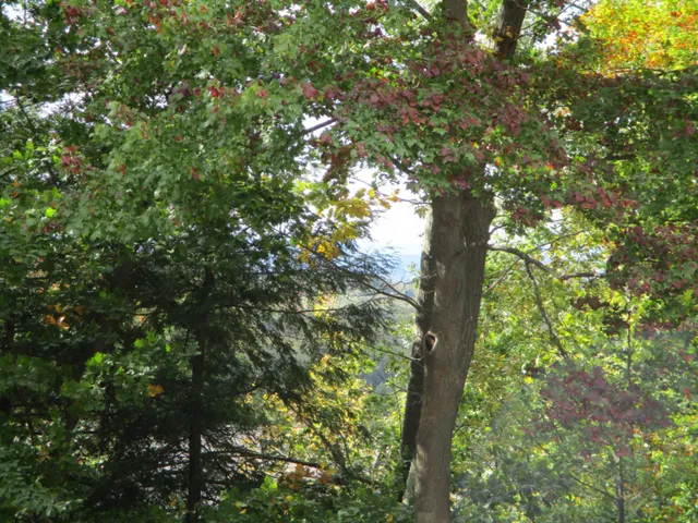 $16,500 | M22 Northwood Highway, Onekama, MI 49675