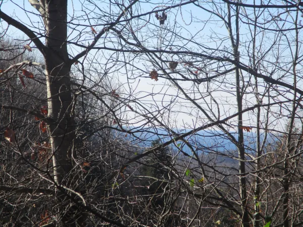 $16,500 | M22 Northwood Highway, Onekama, MI 49675