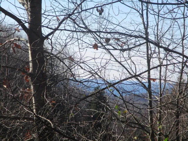 $16,500 | M22 Northwood Highway, Onekama, MI 49675