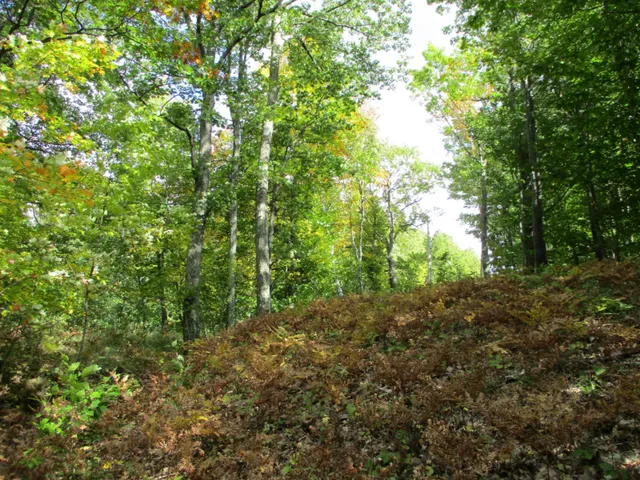 $16,500 | M22 Northwood Highway, Onekama, MI 49675