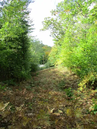 $16,500 | M22 Northwood Highway, Onekama, MI 49675