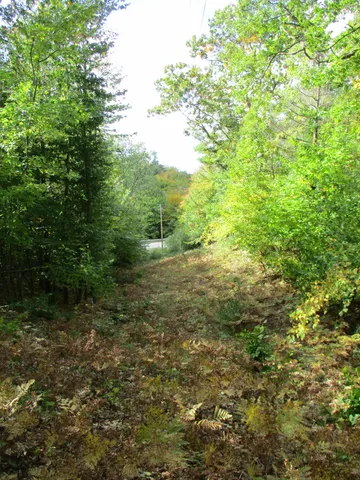 $16,500 | M22 Northwood Highway, Onekama, MI 49675