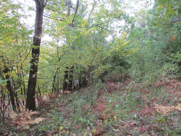 $16,500 | M22 Northwood Highway, Onekama, MI 49675