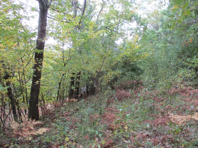 $16,500 | M22 Northwood Highway, Onekama, MI 49675