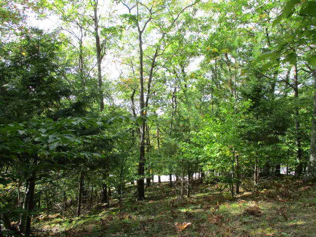 $16,500 | M22 Northwood Highway, Onekama, MI 49675