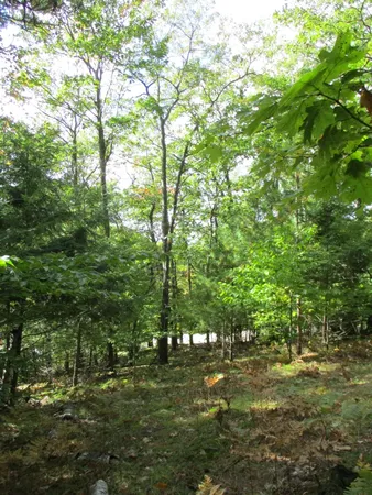 $16,500 | M22 Northwood Highway, Onekama, MI 49675