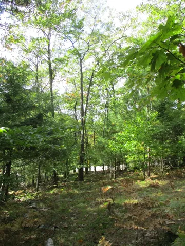 $16,500 | M22 Northwood Highway, Onekama, MI 49675