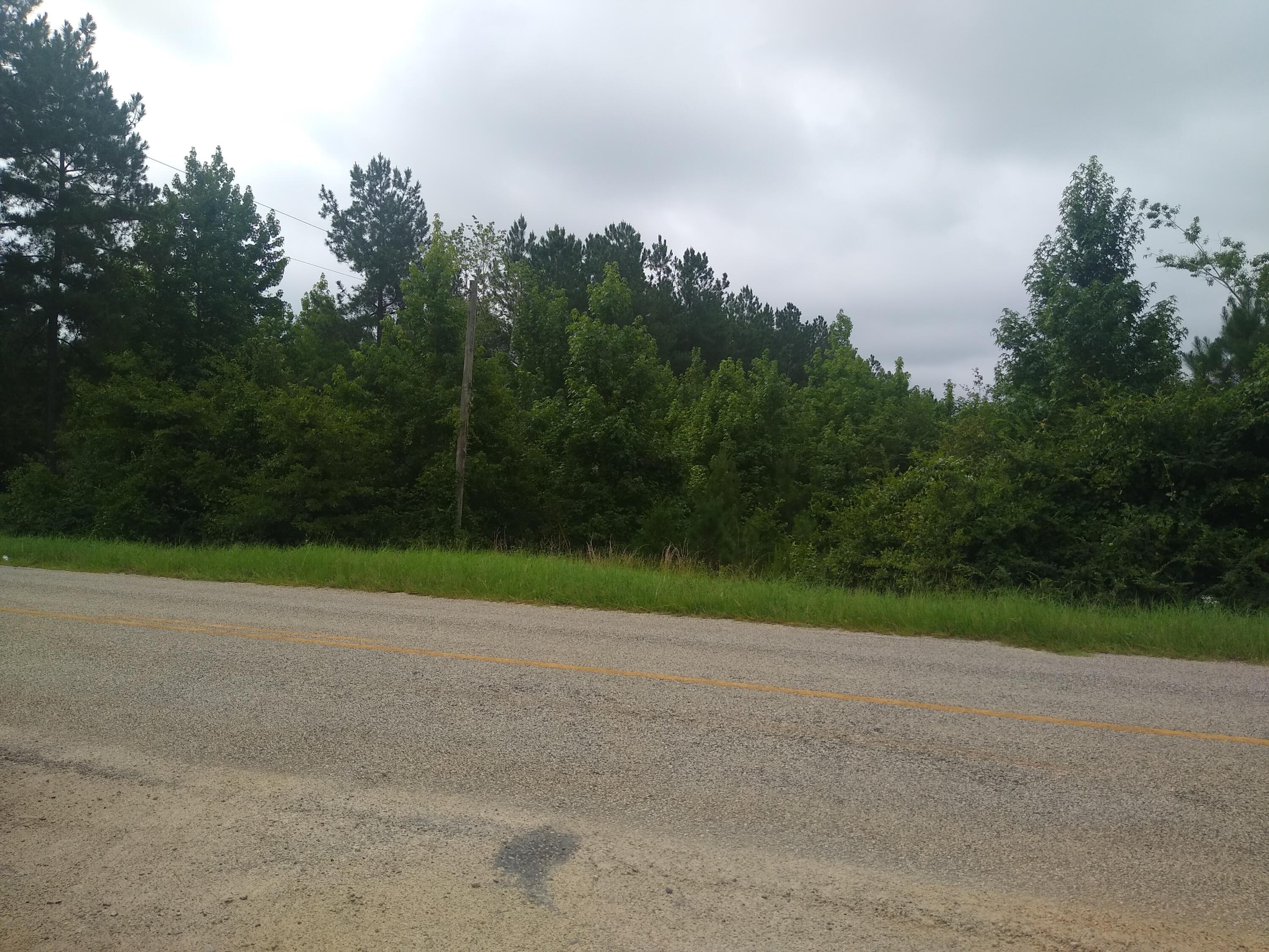 3 Mark Walden Road Hephzibah, GA 30815 - Photo 1 of 2 IMG_20220712_100825269