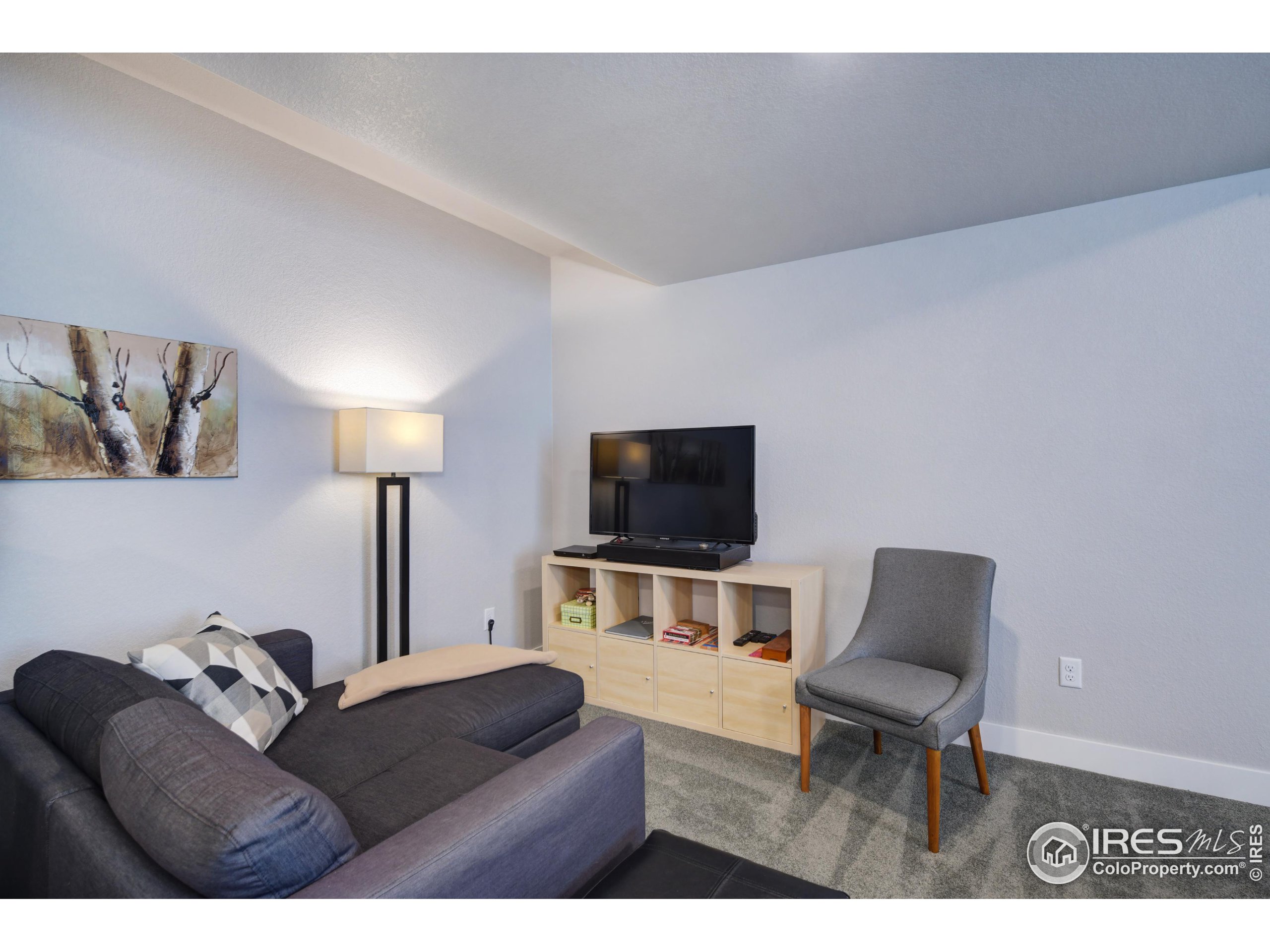 1436 Moonlight Drive Longmont, CO 80504 - Photo 21 of 30