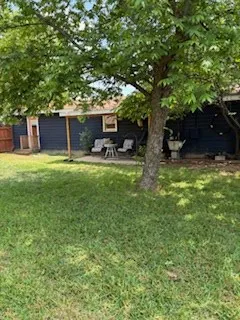 a view of a backyard with table and chairs potted plants and large tree
