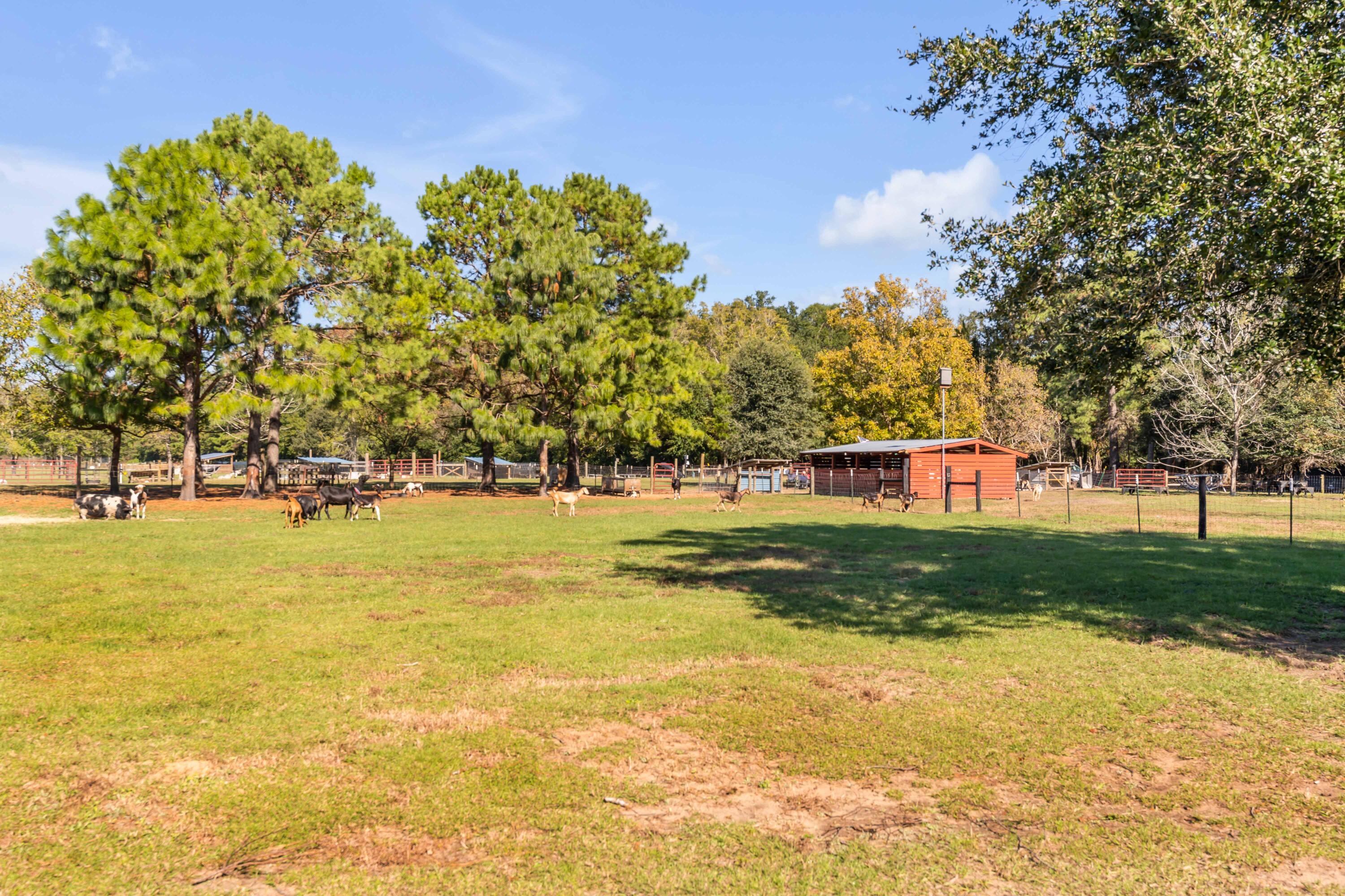 9842 Haven Loop Johns Island, SC 29455 - Photo 69 of 70 9842 Haven Loop