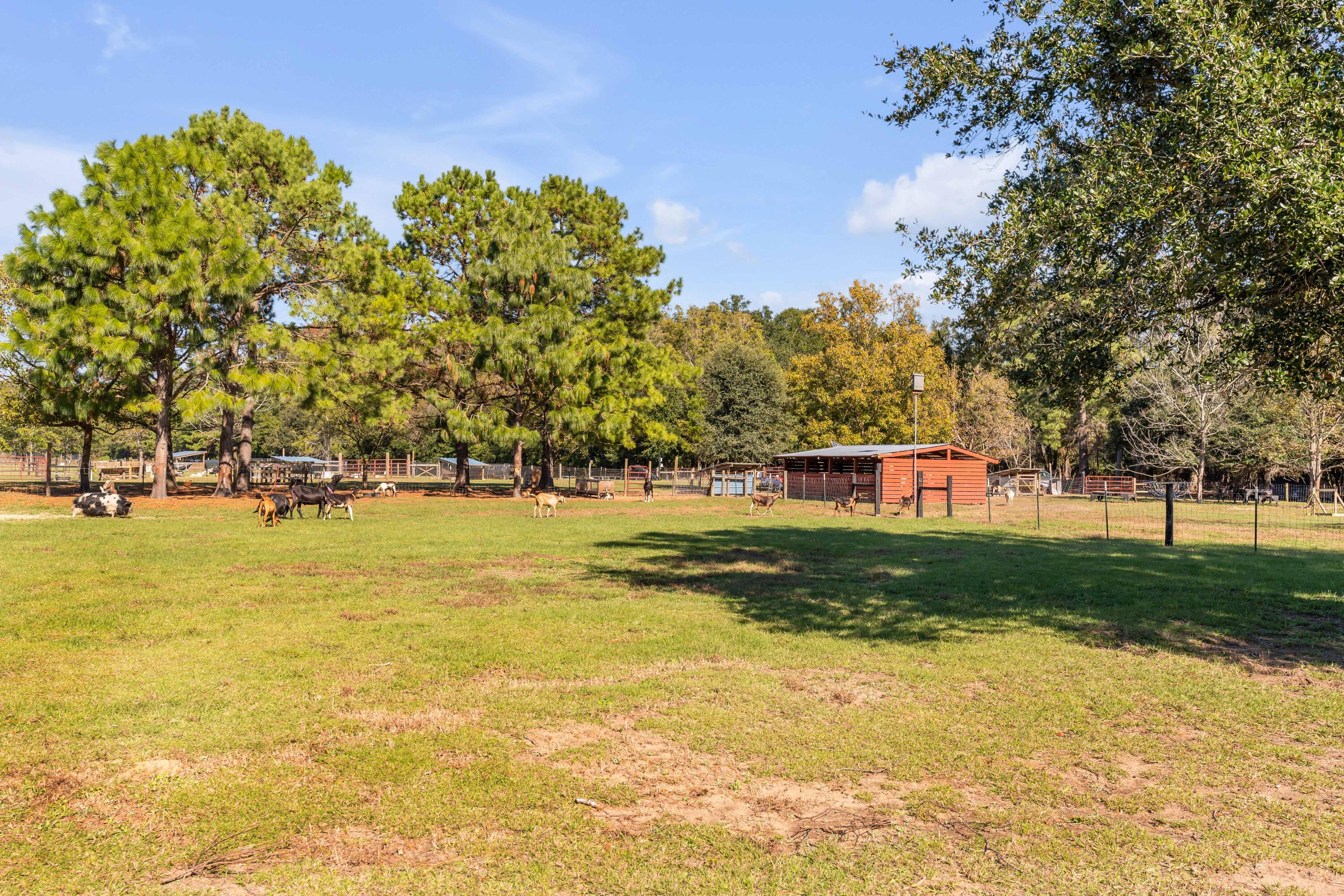 9842 Haven Loop Johns Island, SC 29455 - Photo 70 of 70 9842 Haven Loop