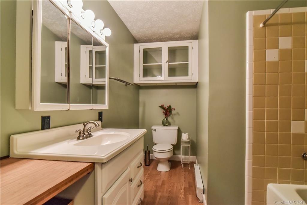 159 Mink Farm Road Leicester, NC 28748 - Photo 20 of 31 Gallery Image 20