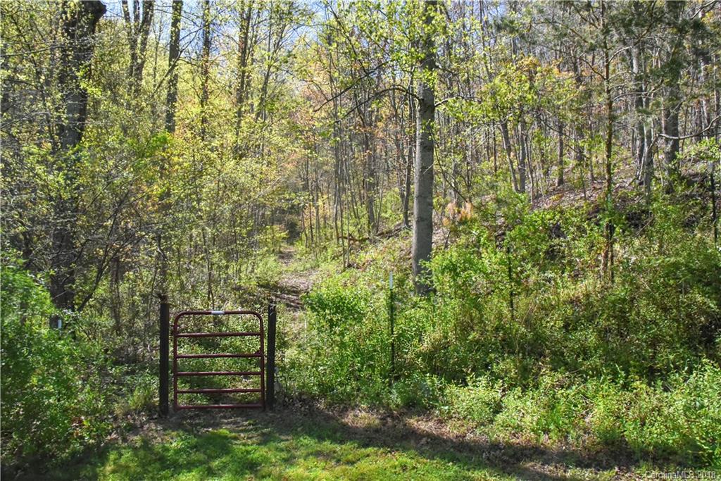 159 Mink Farm Road Leicester, NC 28748 - Photo 29 of 31 Gallery Image 29