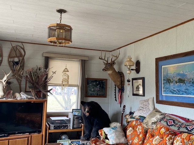 E10368 Xanadu Road Wisconsin Dells, WI 53965 - Photo 17 of 25