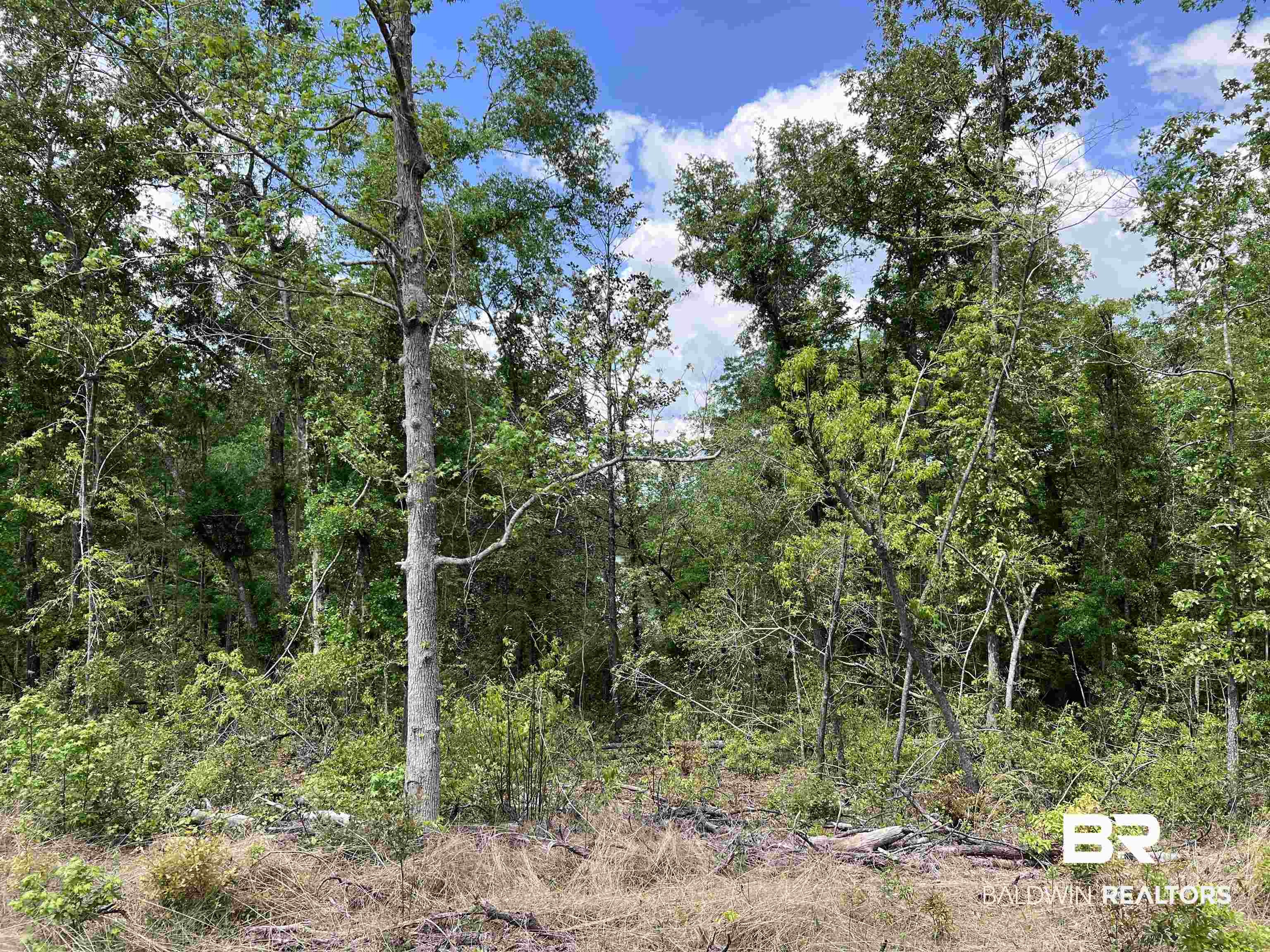 5100 Wiggins Lake Road Walnut Hill, FL 32568 - Photo 20 of 41