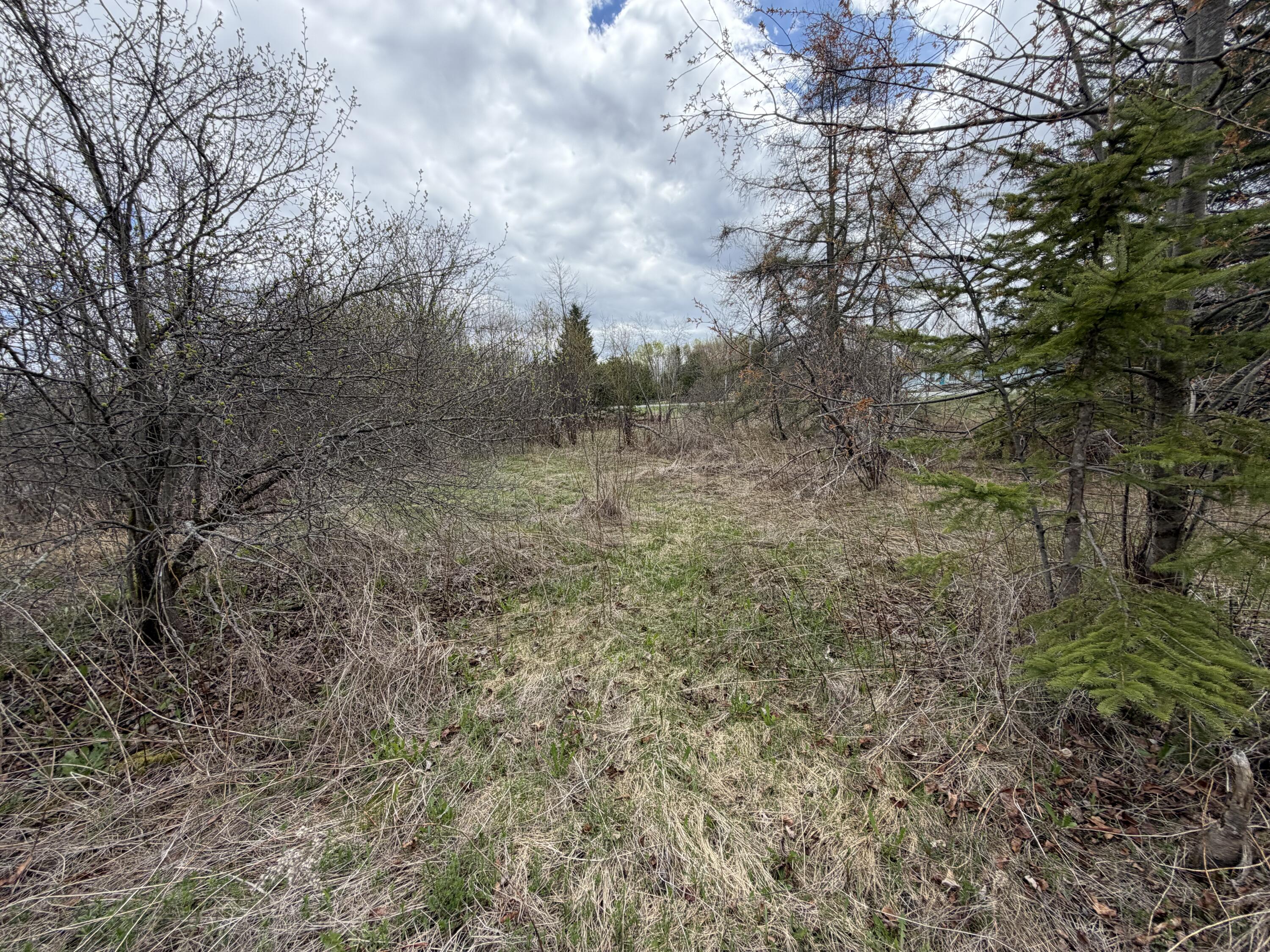 Lot 7 B Road Houlton, ME 04730 - Photo 5 of 10 IMG_5652