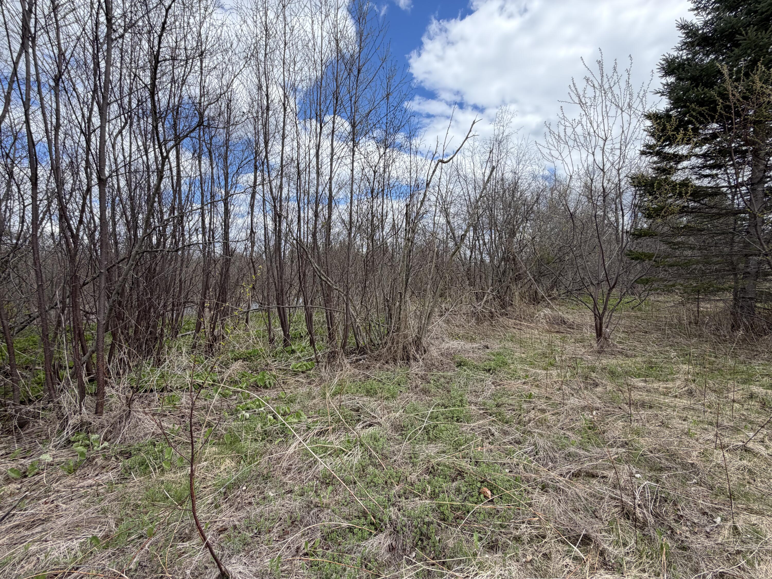 Lot 7 B Road Houlton, ME 04730 - Photo 7 of 10 IMG_5654
