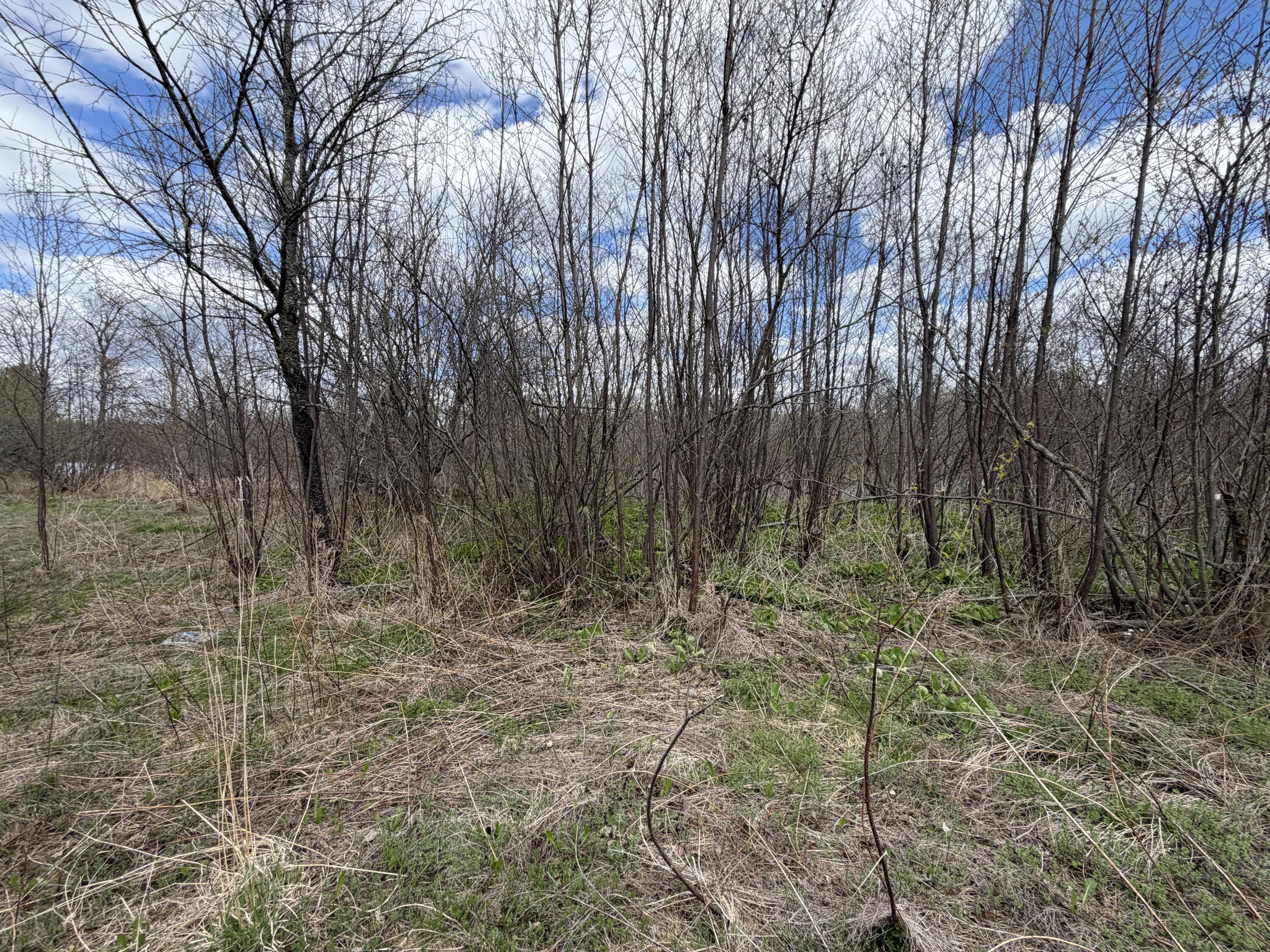 Lot 7 B Road Houlton, ME 04730 - Photo 8 of 10 IMG_5655