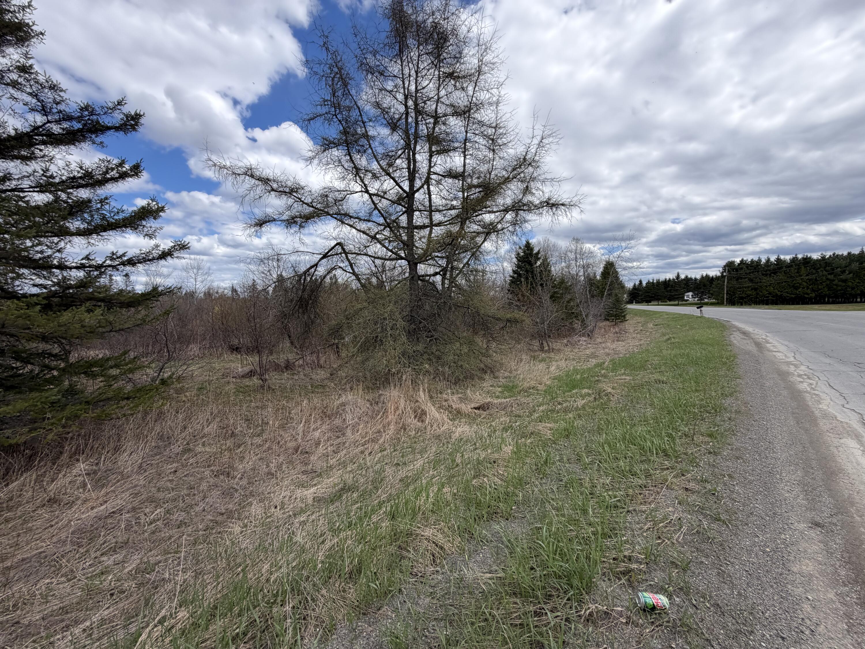 Lot 7 B Road Houlton, ME 04730 - Photo 10 of 10 IMG_5657