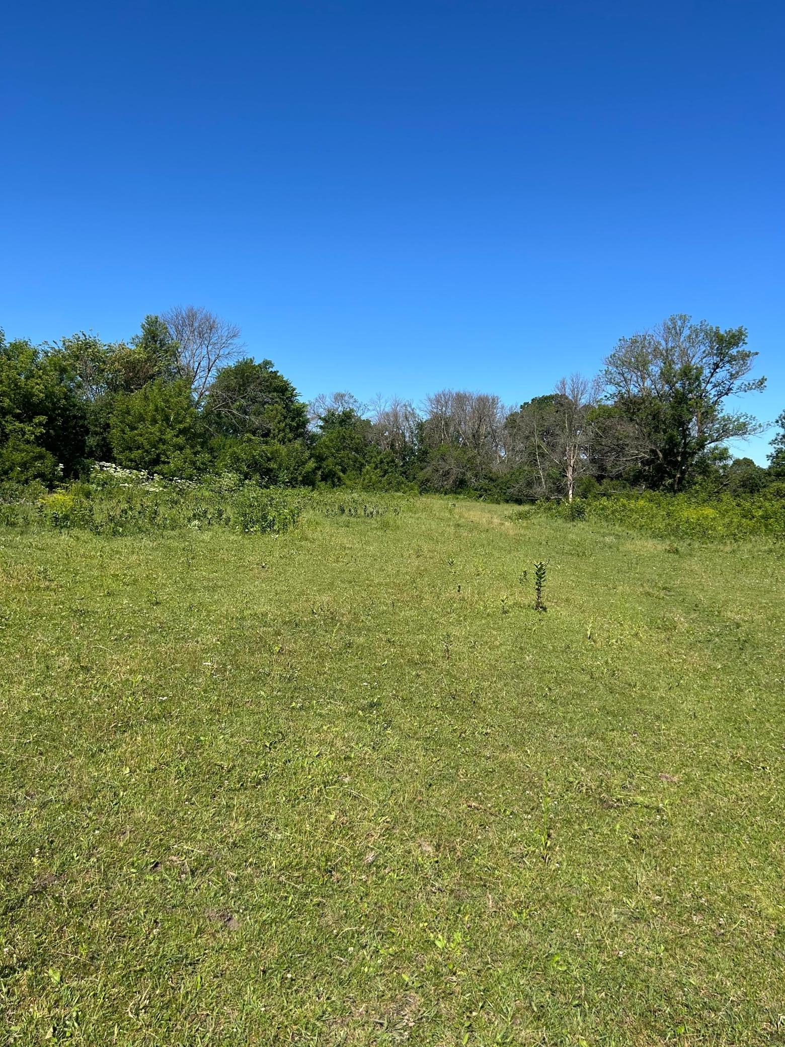 Tbd Tbd Old Cty Road Woodville, WI 54028 - Photo 6 of 30