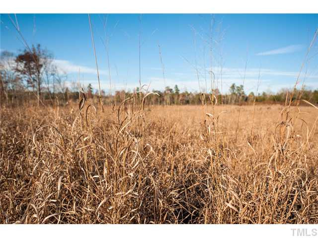 Lambert Chapel Road Siler City, NC 27344 - Photo 13 of 16 Photo 13