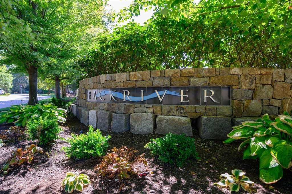 10 Backriver Road, Unit 10 Hingham, MA 02043 - Photo 31 of 31 a view of a garden with plants