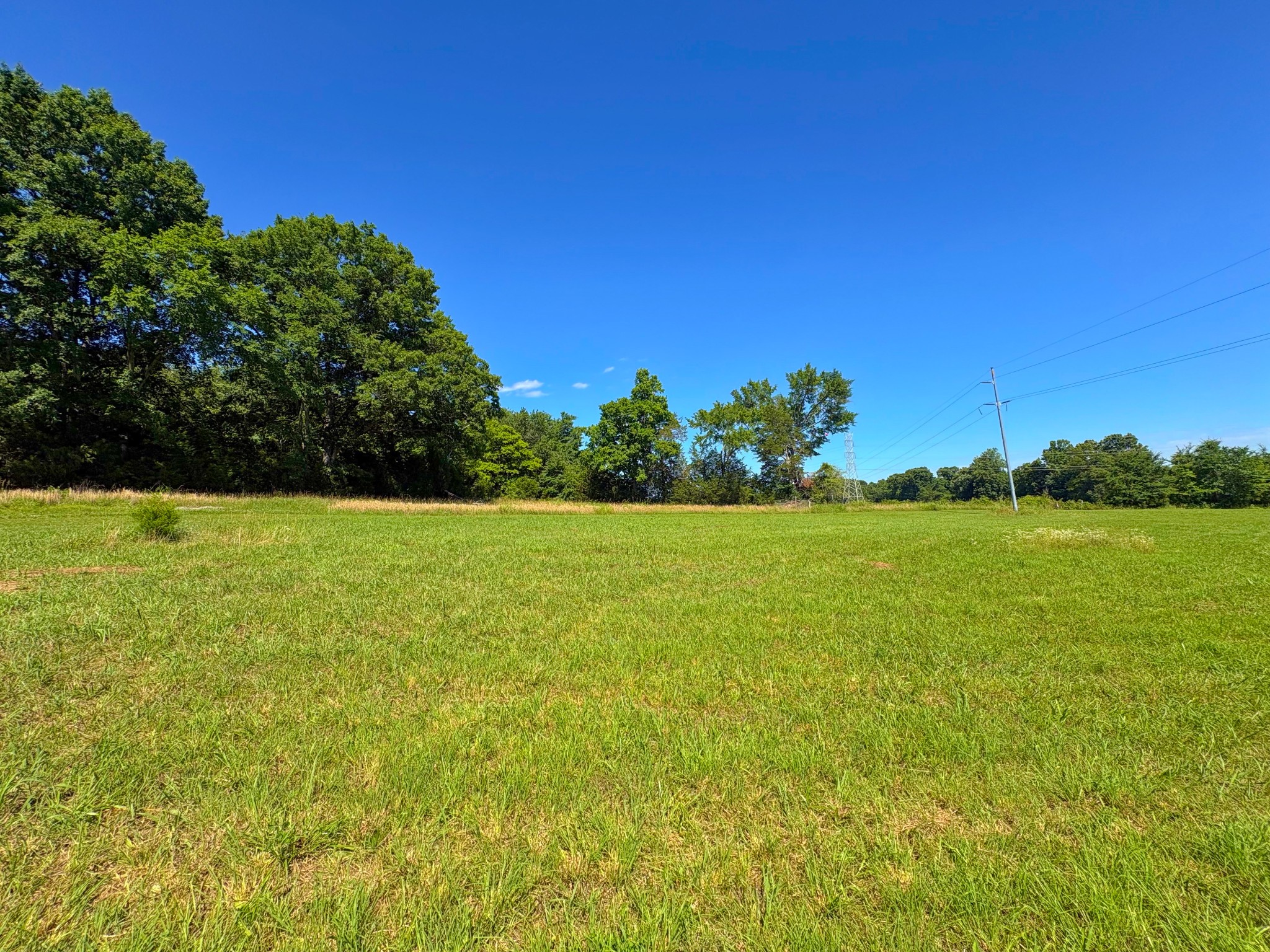 485 C Canoe Branch Road Castalian Springs, TN 37031 - Photo 4 of 13