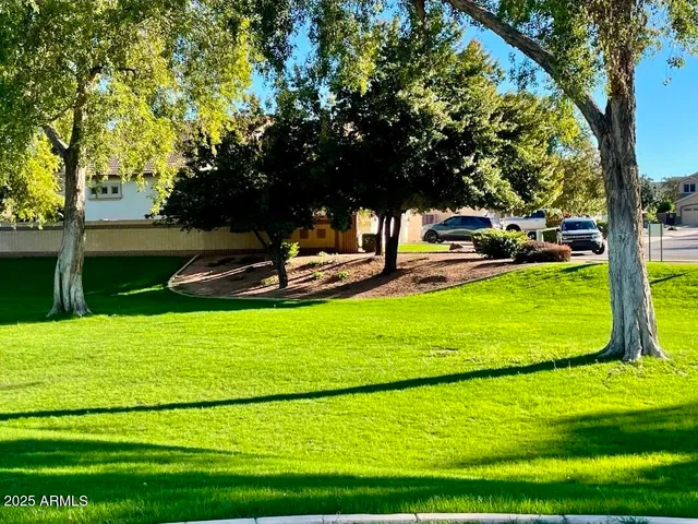a view of a park with large trees