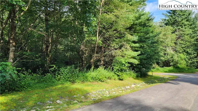 a view of a yard with plants and trees