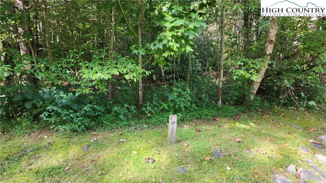 a big yard with lots of green space and plants