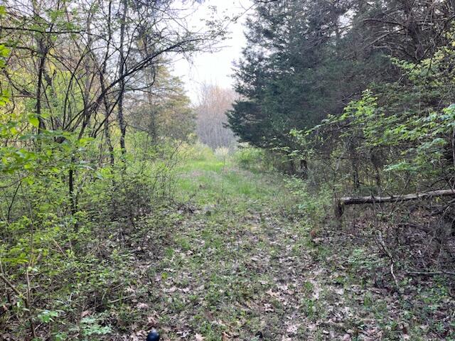 413 Fisher Road Foster, KY 41043 - Photo 27 of 33 Gallery Image 27