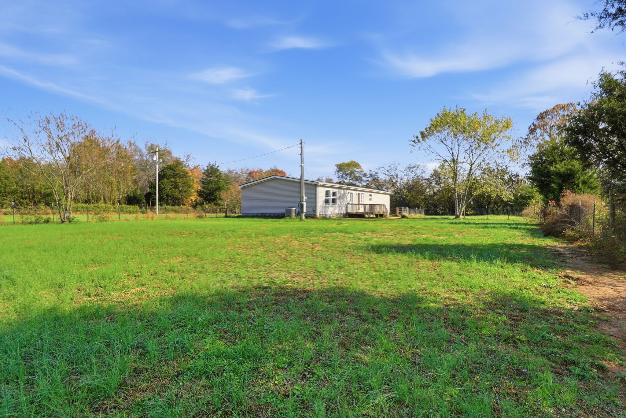 166 Carlton Road Chapel Hill, TN 37034 - Photo 8 of 27 a view of a trees with a big yard